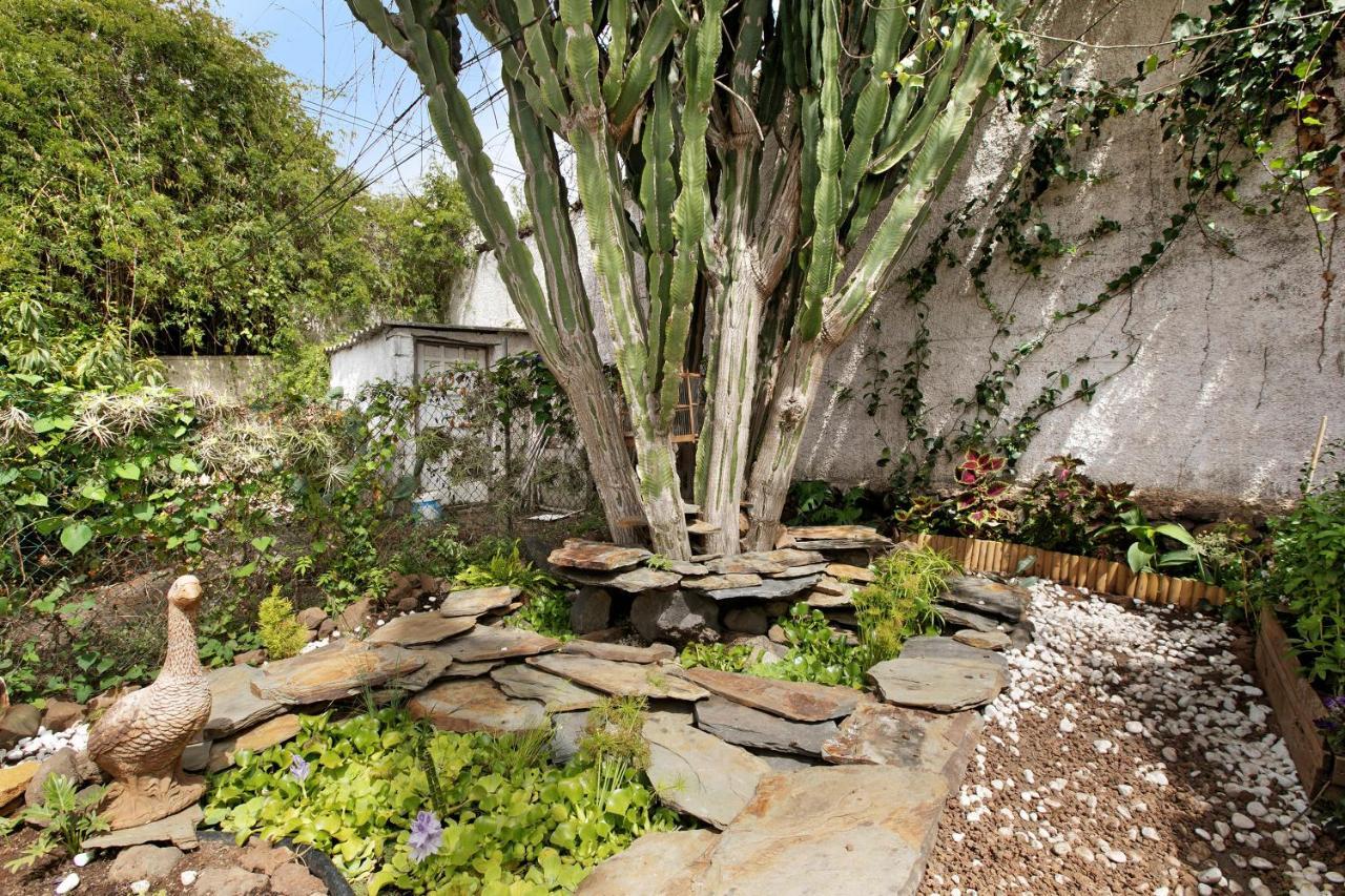 Apartamento Jardin Del Sol Tacoronte Ngoại thất bức ảnh